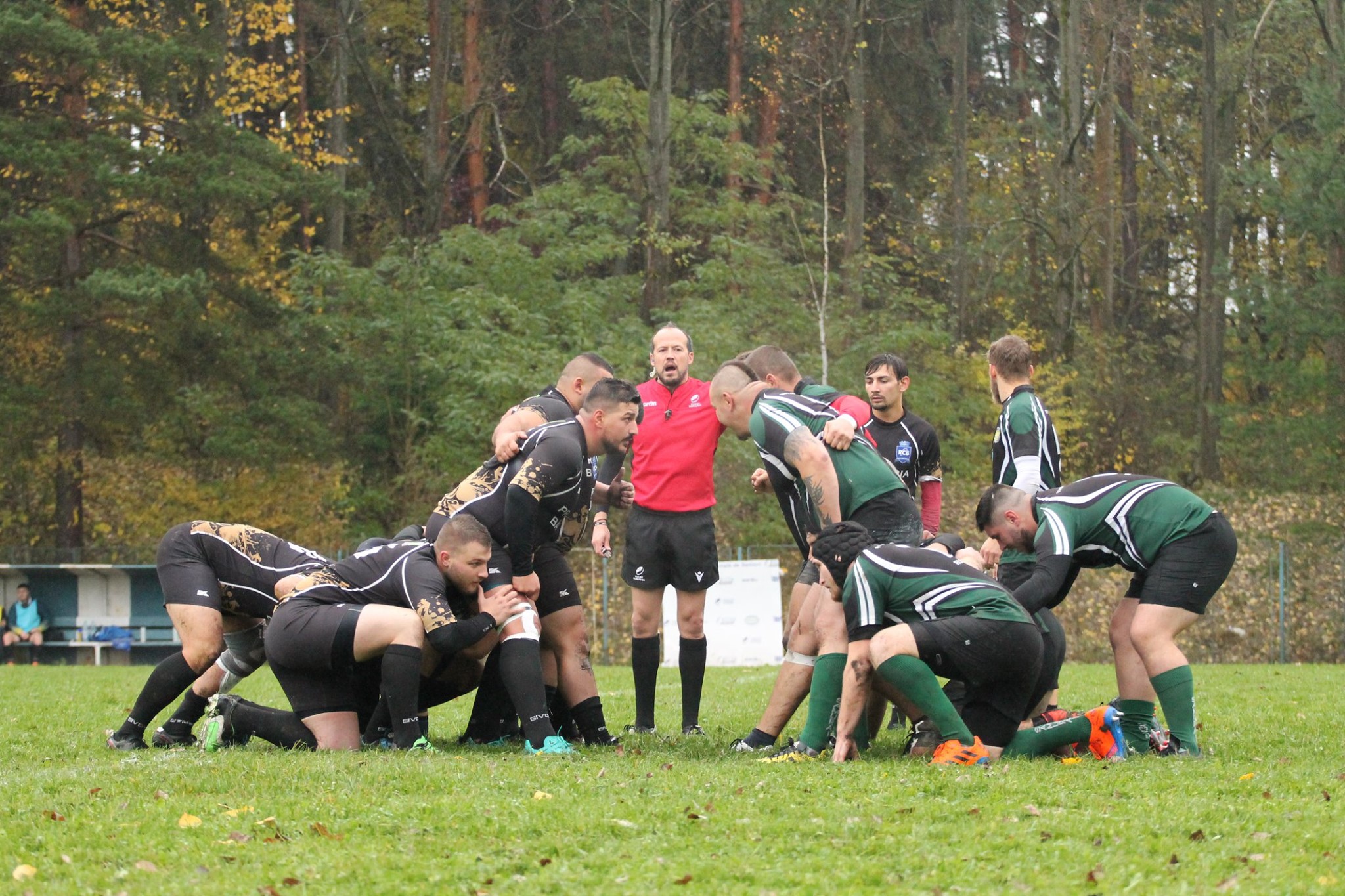 Rugby / Debut in forta al Stiintei