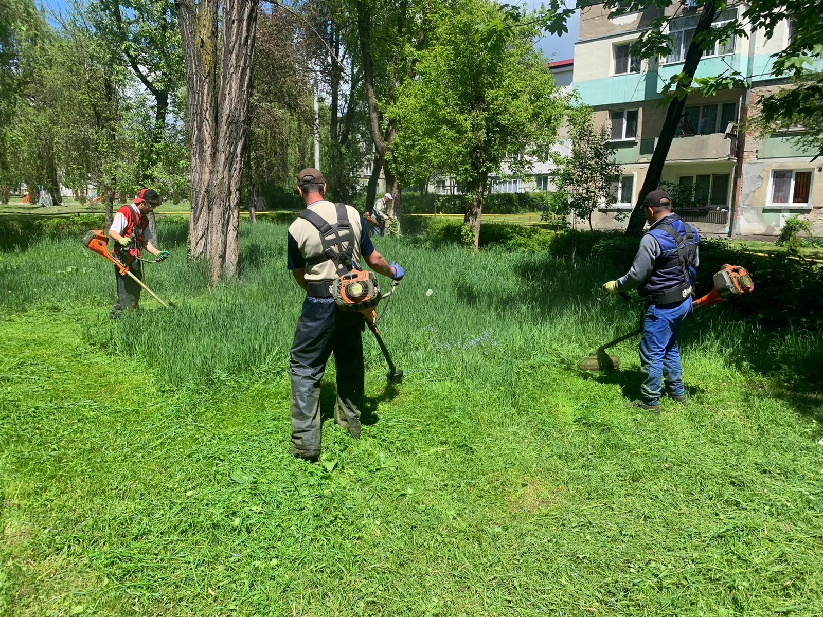 Dupa ce au terminat de cosit Parcul Central din Petrosani, / Cosasii primariei au actionat luni pe strazile Independentei si Oituz