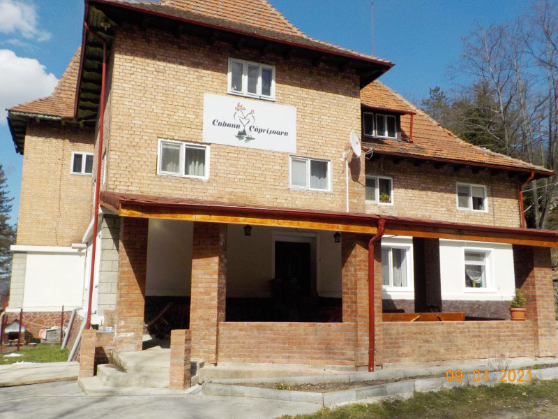 Vulcan / Amintiri vechi de pe „Caprisoara”