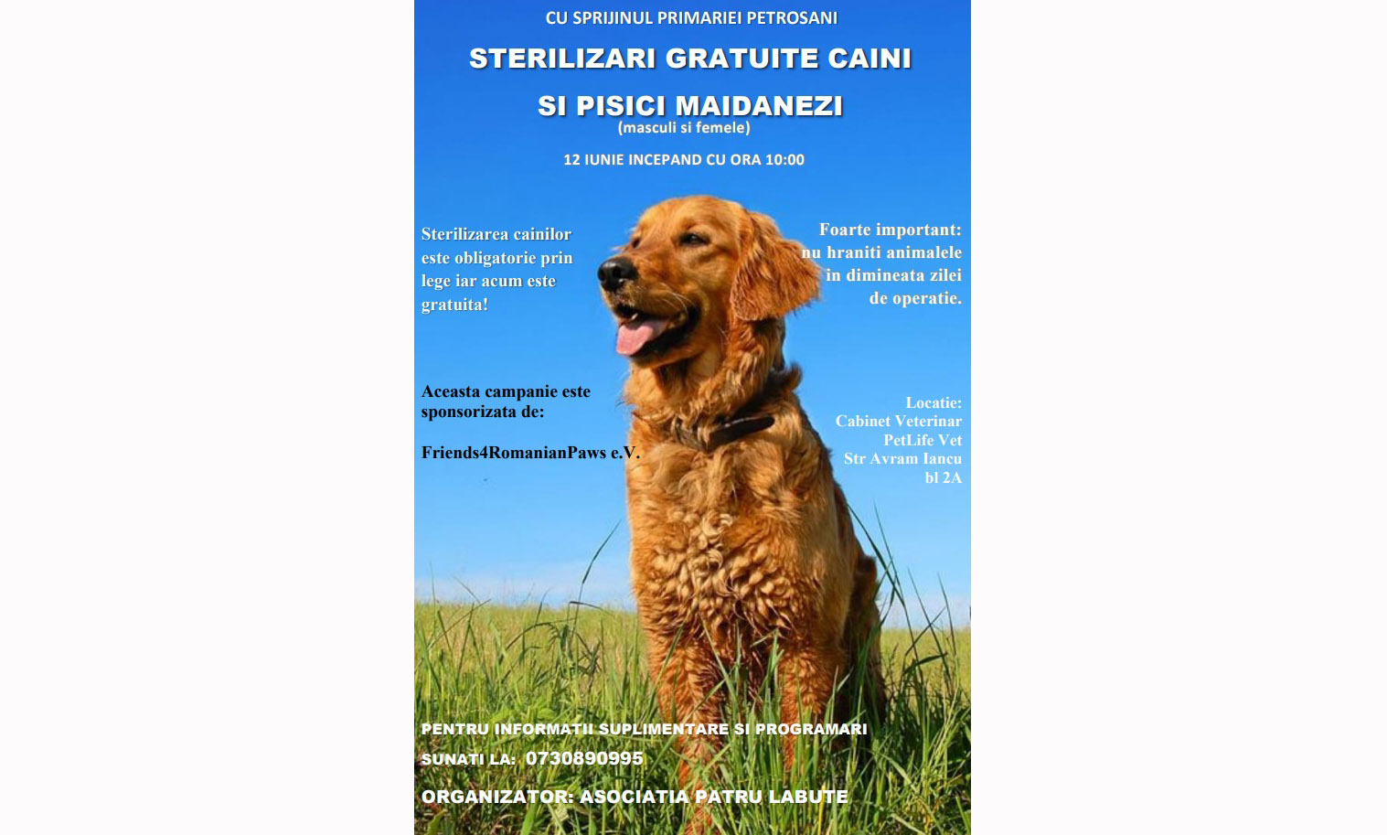 La Petrosani / Campanie gratuita de sterilizare a cainilor si pisicilor