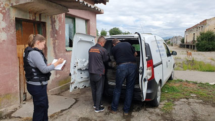 69 de caini au fost relocati