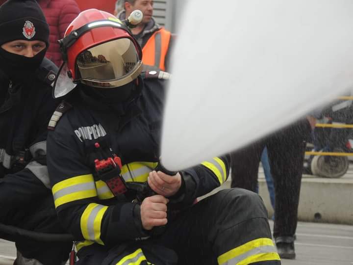 Ziua Mondiala a Apei 