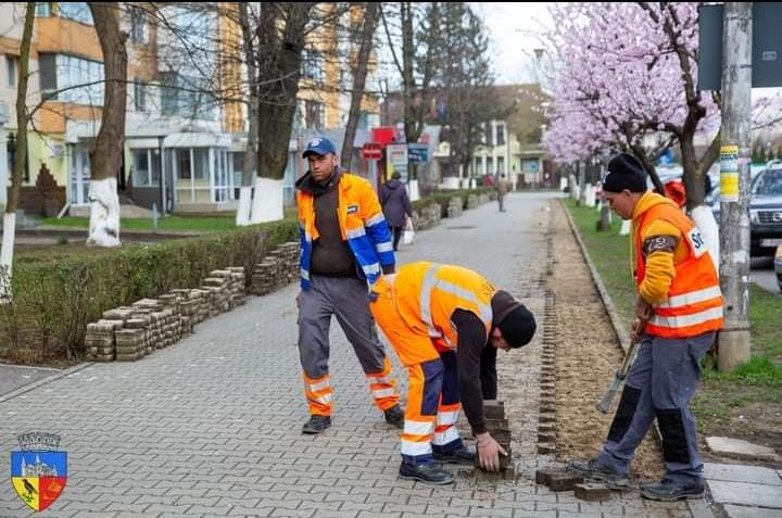 Alt proiect la Hunedoara