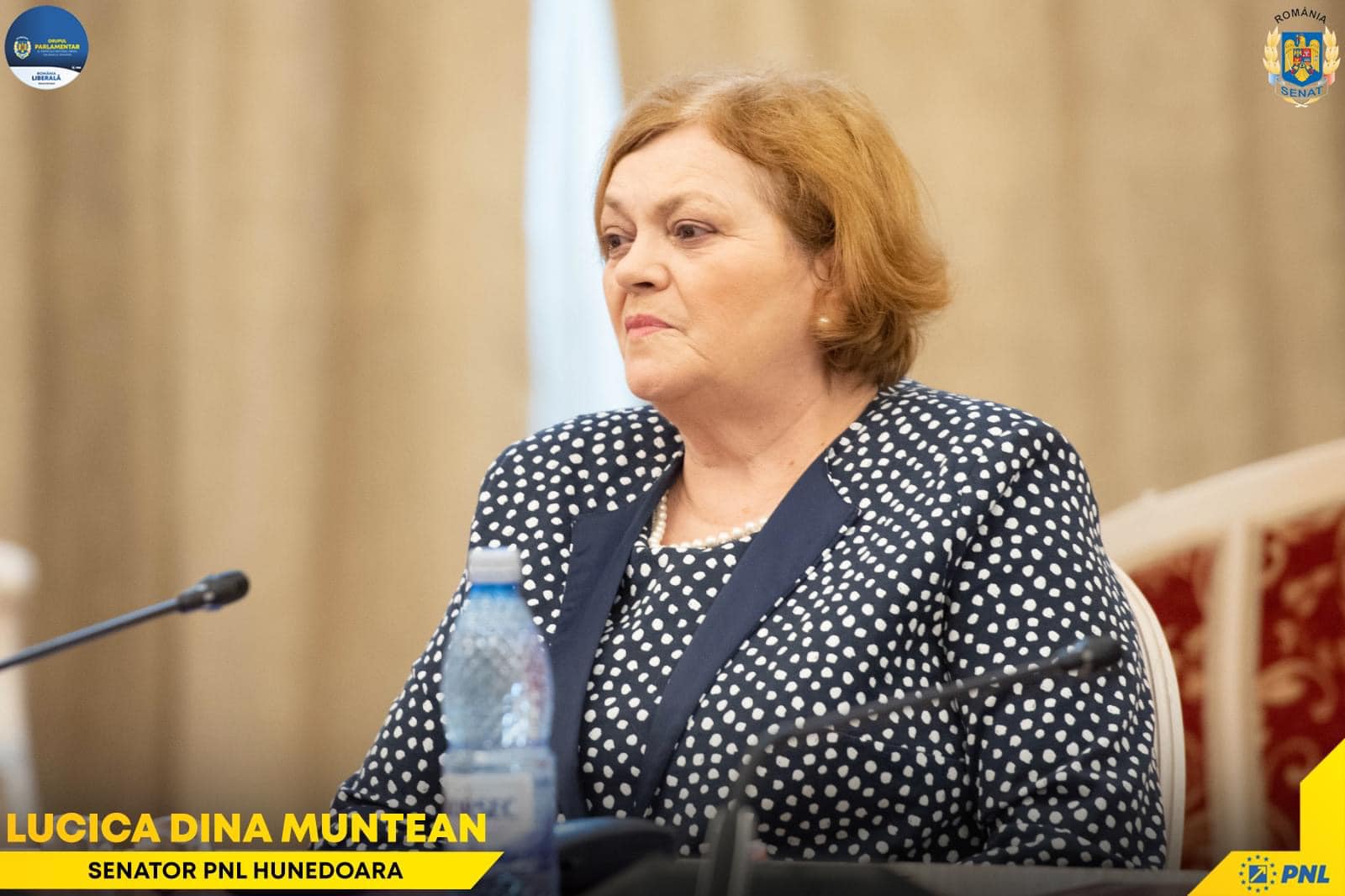 Lucica Dina Muntean, senatorul PNL, primeste o noua functie in Senatul Romaniei: Presedinte al Comisiei de ancheta privind investigarea cazurilor de abuzuri asupra copiilor din centrele DGASPC