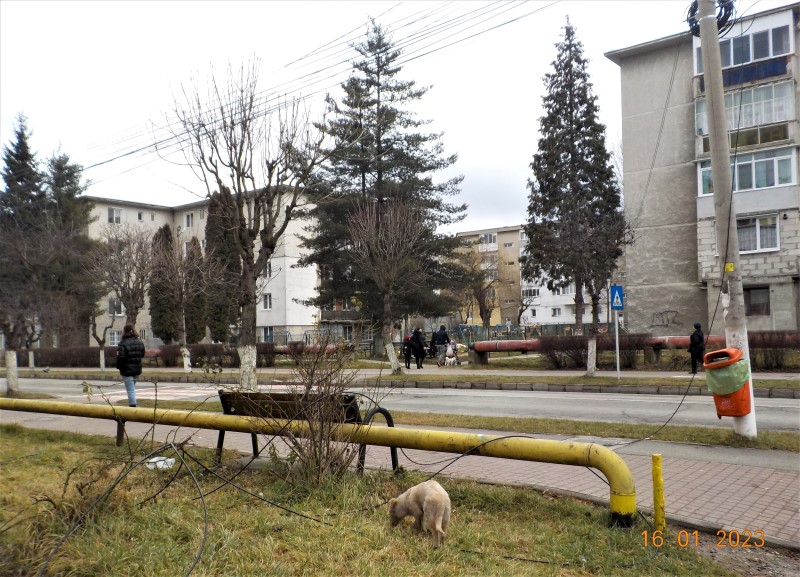 Vulcan. / Chiar nu i se simte lipsa?