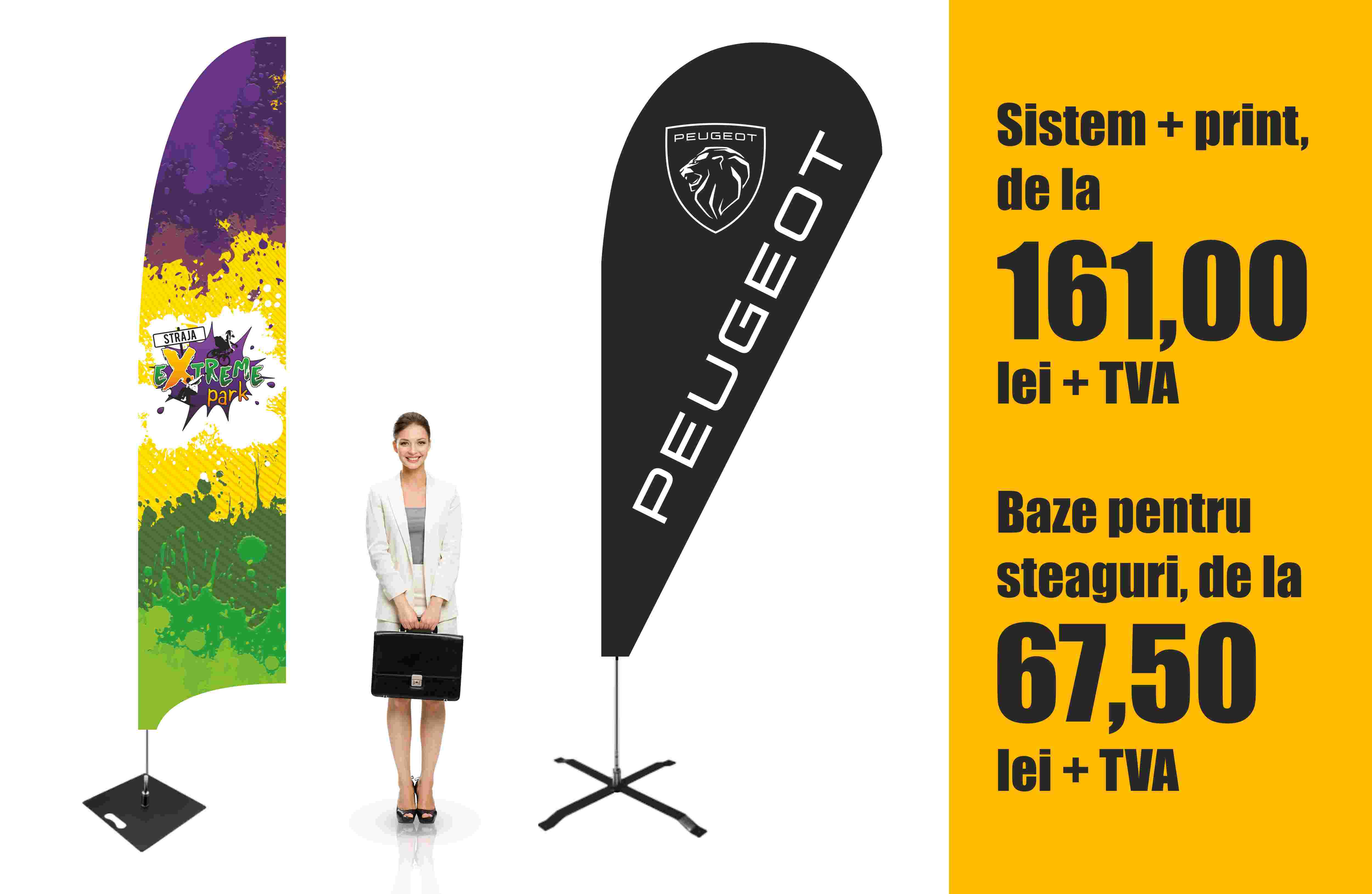 Steagurile publicitare: cum sa atragi atentia potentialilor clienti cu ajutorul Confort Media