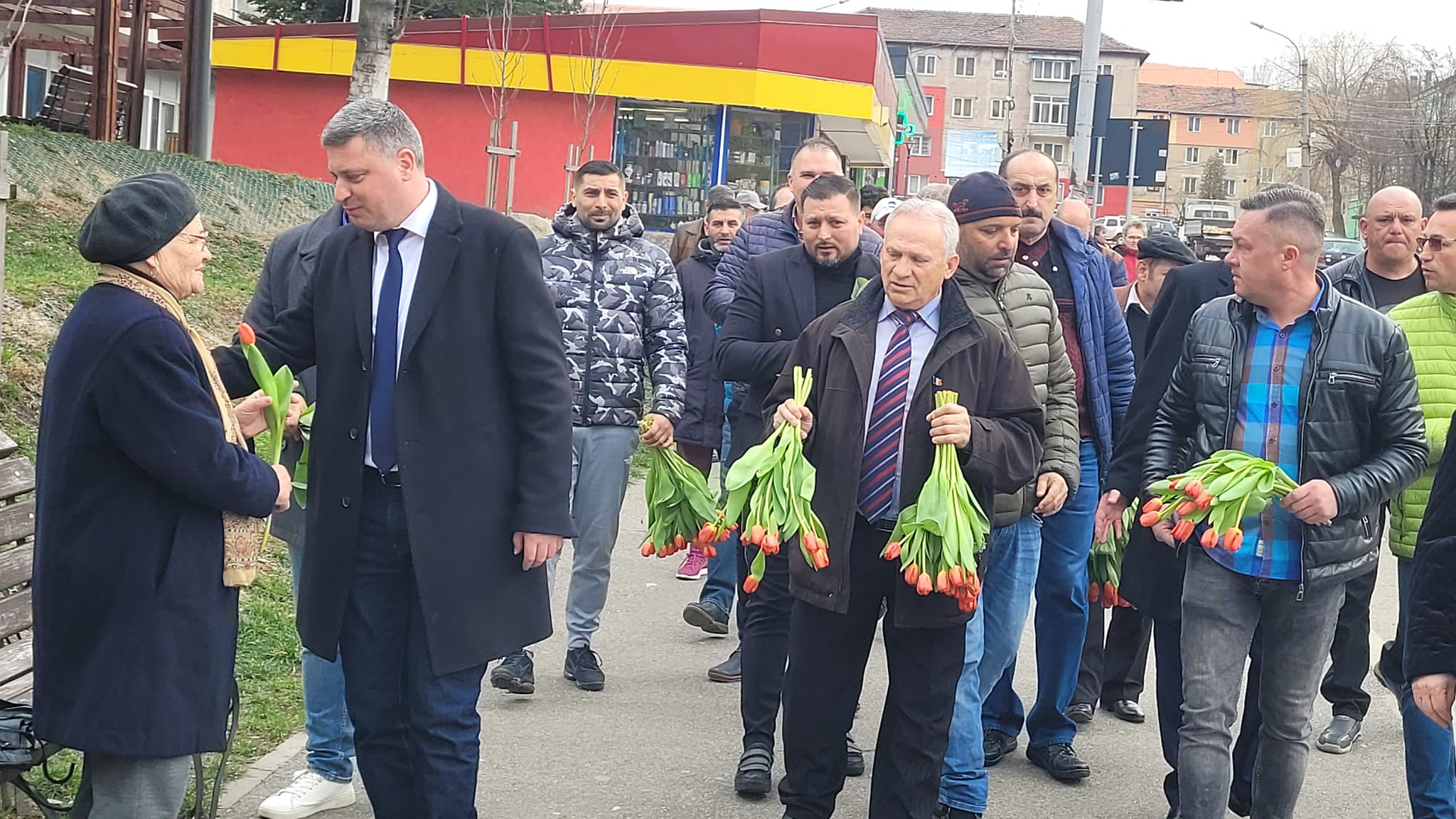 De 8 Martie, / Barbatii din PSD Lupeni au oferit mii de lalele doamnelor si domnisoarelor intalnite in cale pe strazile localitatii