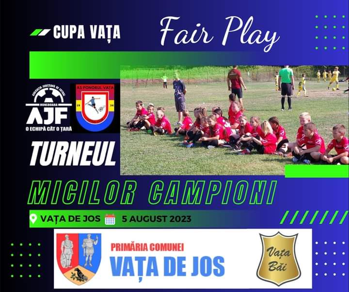 Turneul Micilor Campioni, Cupa Vata 