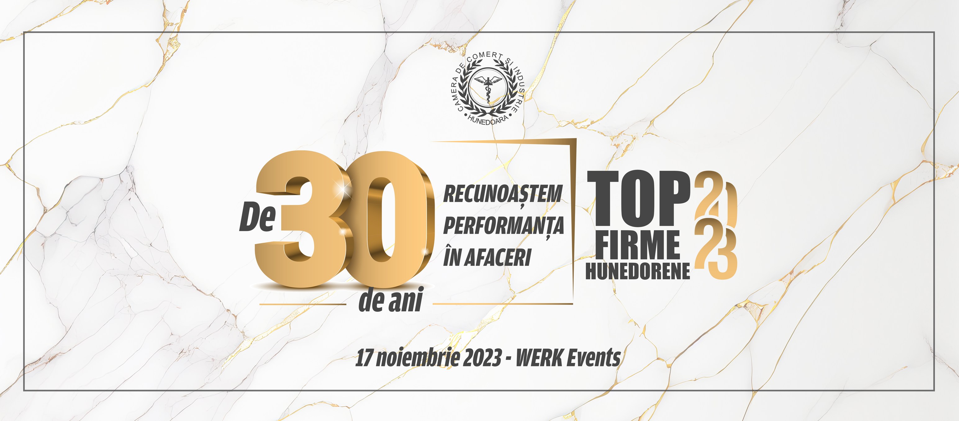 Gala Excelentei in Afaceri – Topul Firmelor din judetul Hunedoara