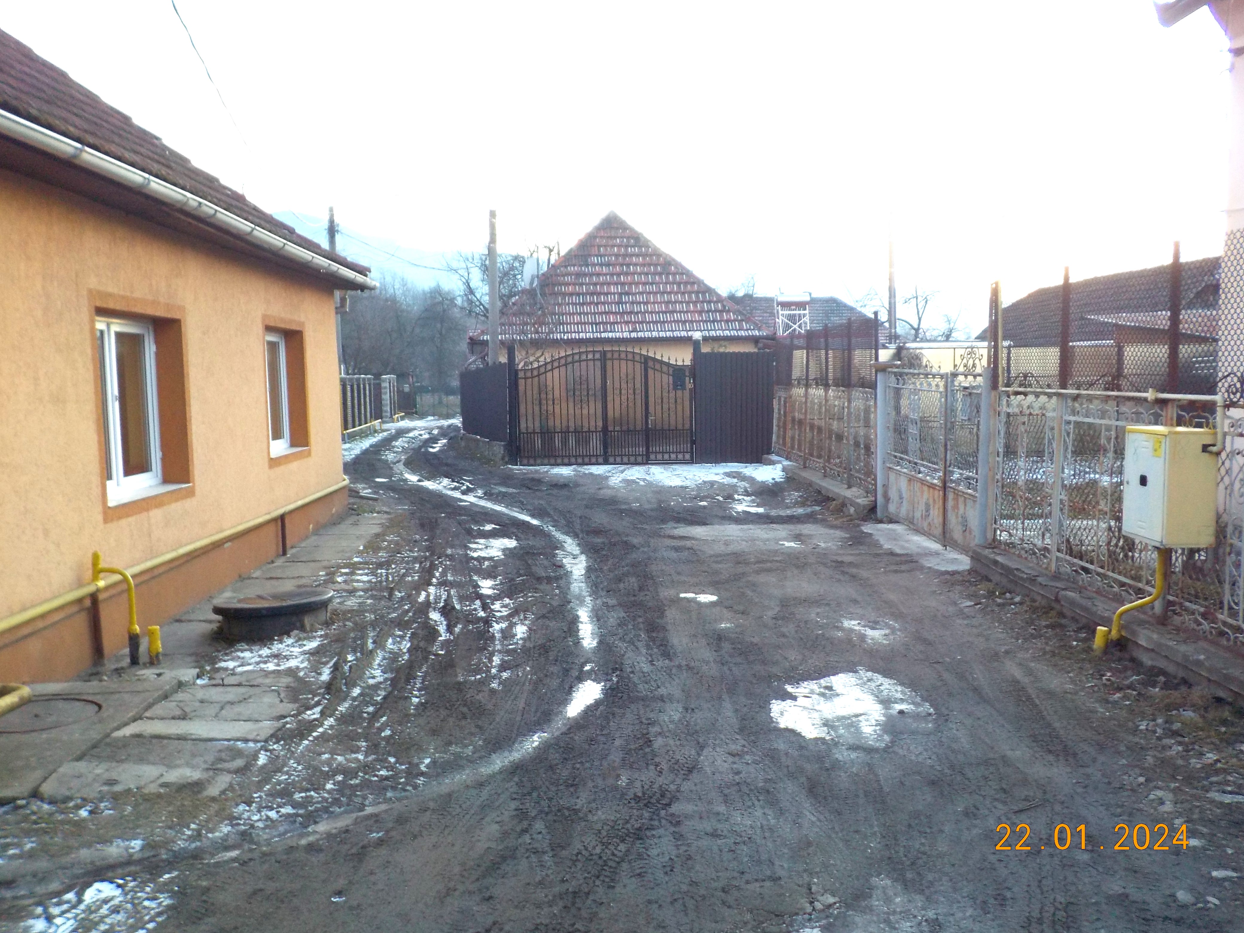 Vulcan. Nebagata in seama de o zburatoare