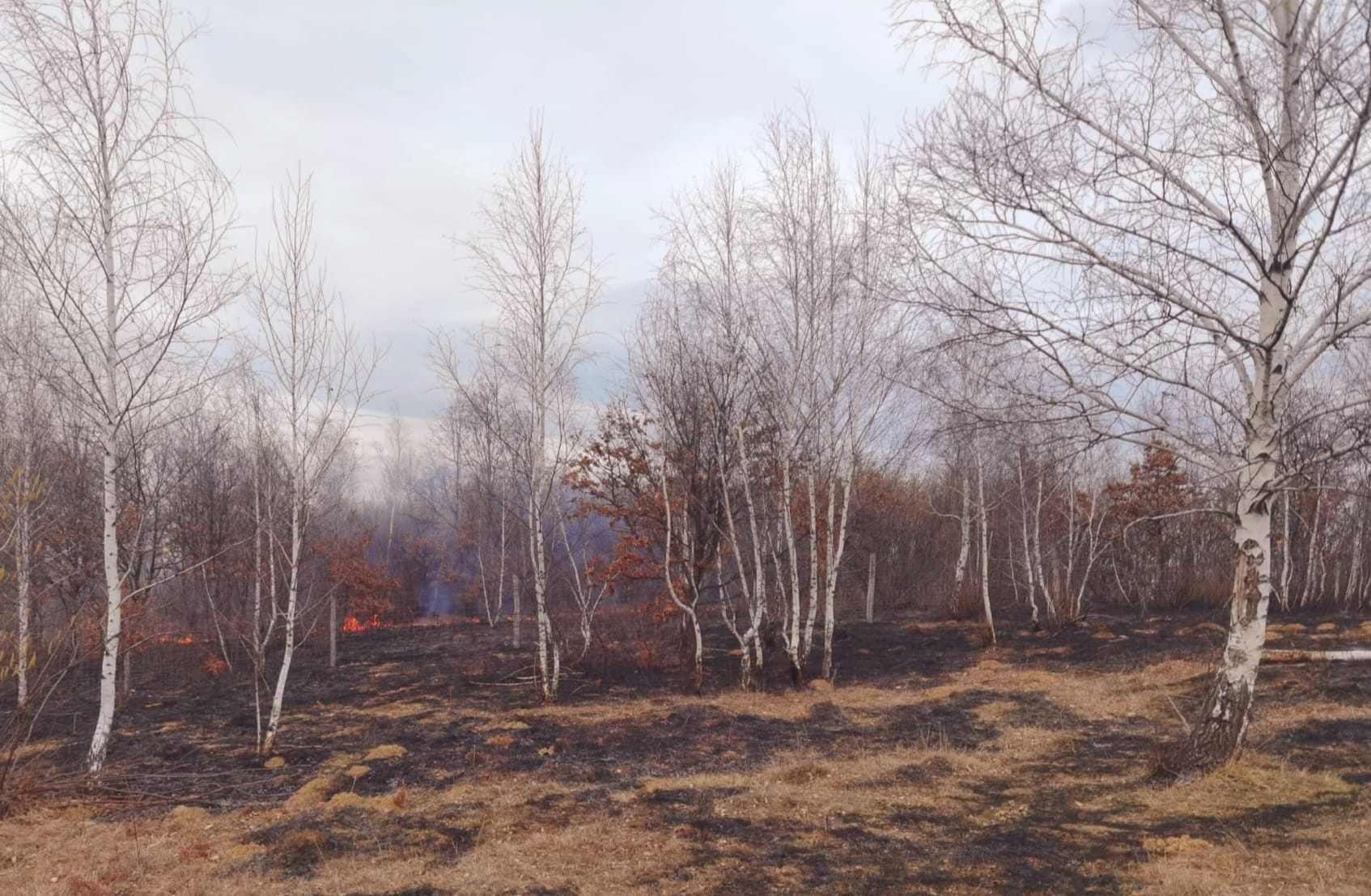 Weekend de foc pentru pompieri, / Zeci de ha de vegetatie au ars
