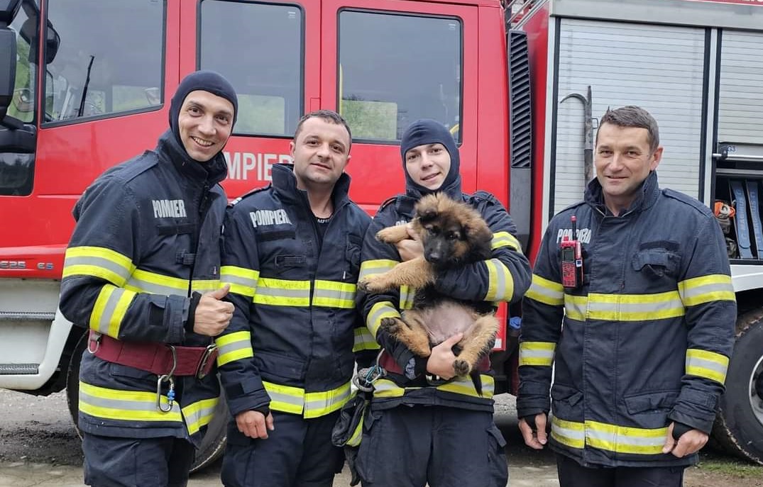 Rosa a fost salvata