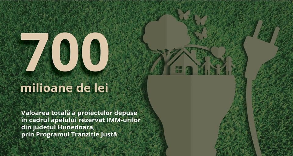 In jud. Hunedoara / 58 de proiecte - 700 de milioane de lei