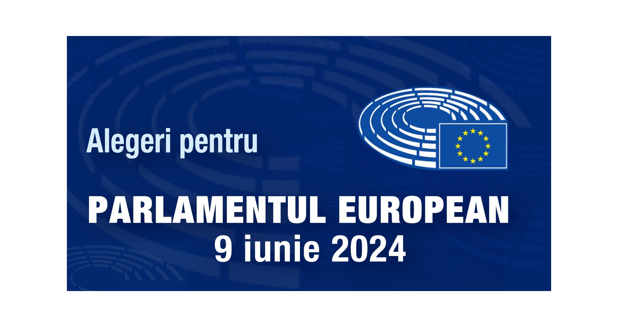 Parlamentul European / 542 de candidati pentru cele 33 de locuri alocate Romaniei