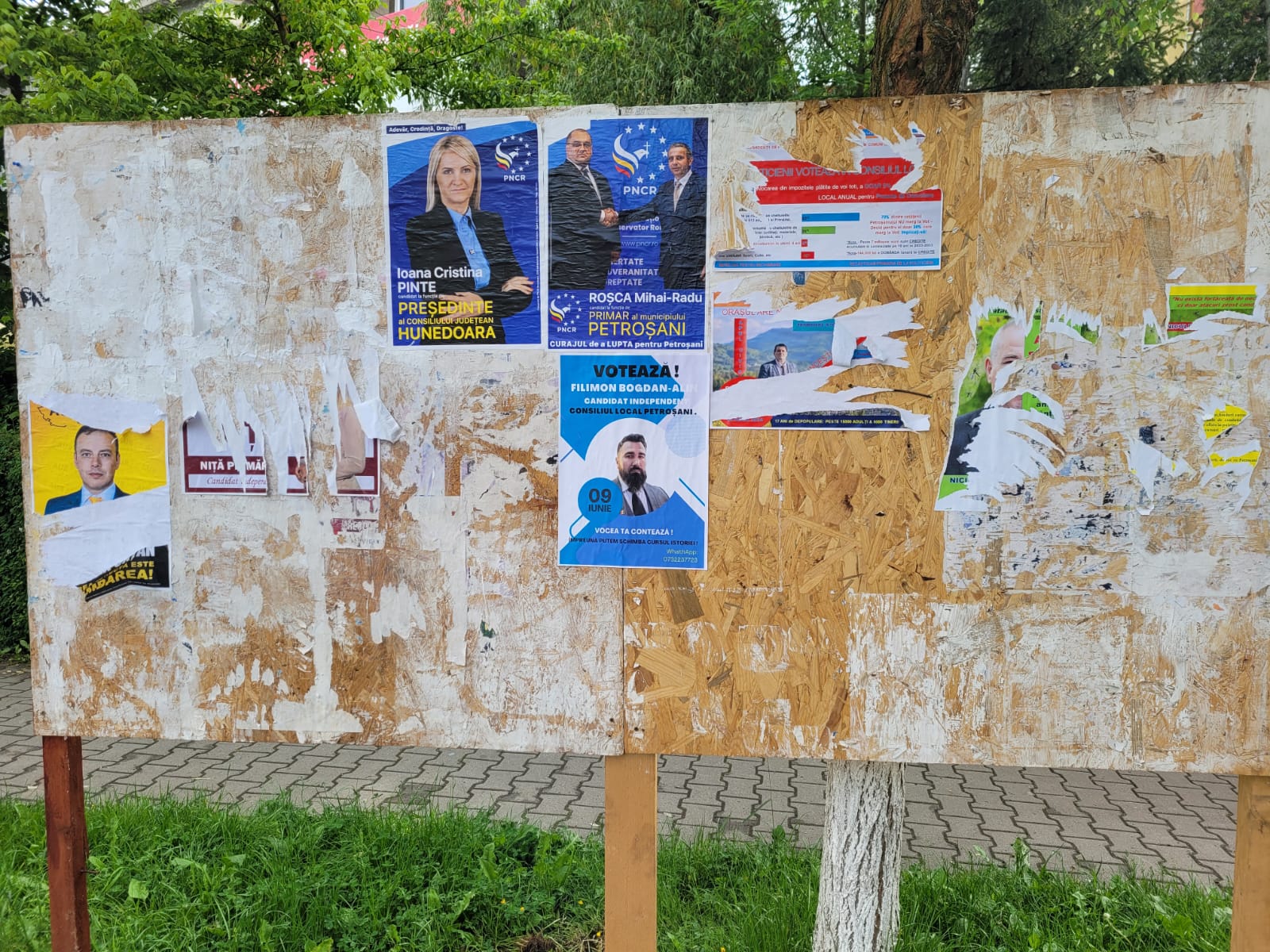 Petrosani. Panouri electorale – vandalizate
