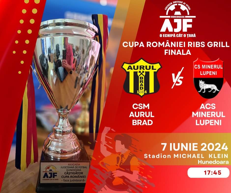 Fotbal. Cupa Romaniei / Lupenenii se pregatesc de finala