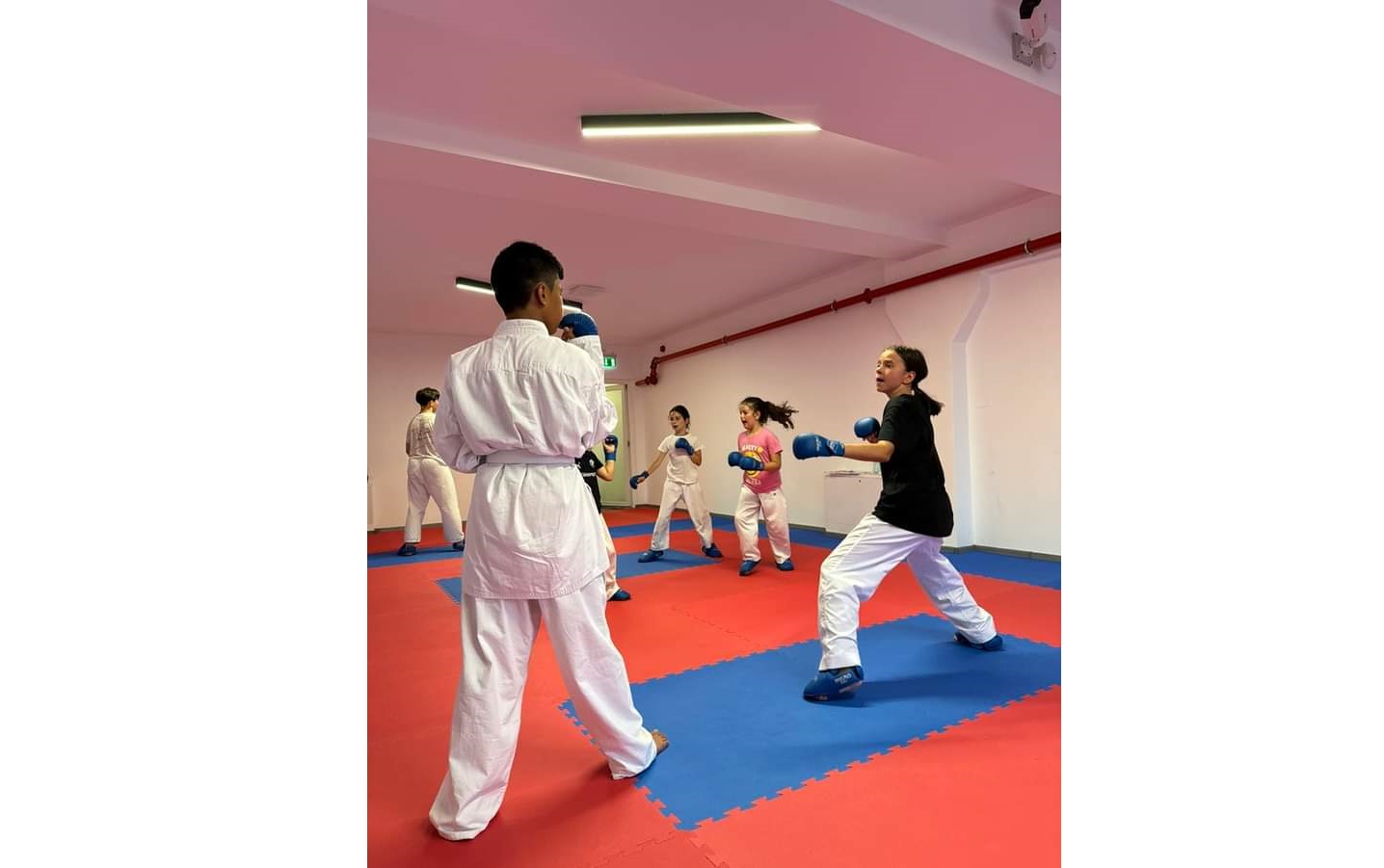 Distractie la karate