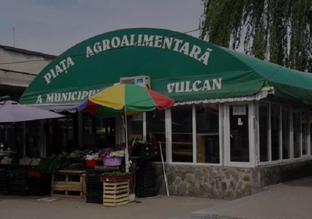 Talharie la Vulcan. Autorul, un minor!