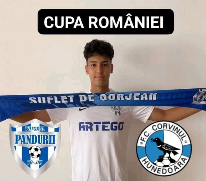 Meci in Cupa