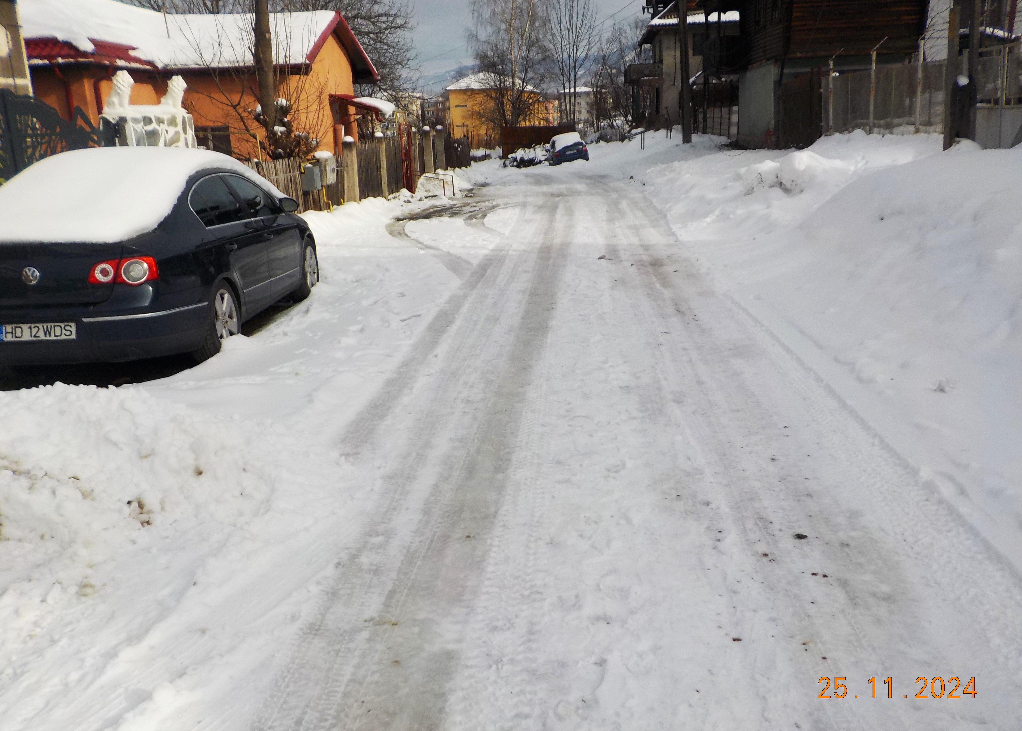 Vulcan. Strada uitata din Cocosvar