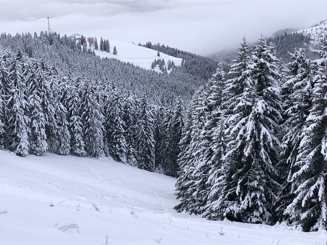 Invitatie in Parang / O invitatie de suflet pentru cei care vor sa faca ski de tura in Parang.