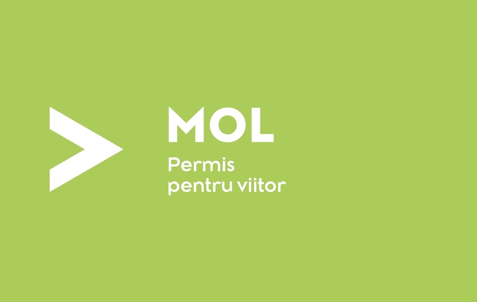 Cum poti obtine gratuit permisul de conducere. O sansa pentru tinerii din medii defavorizate
