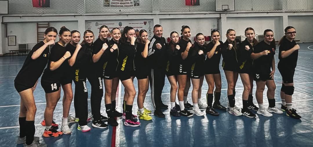 Handbal pe paine