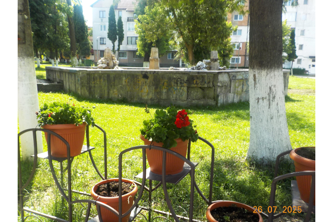 Vulcan. Parcul va fi iluminat