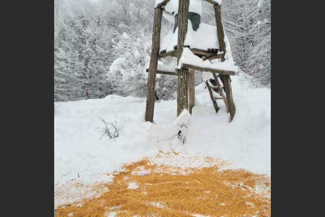Pentru salbaticiuni, „Mese” hibernale