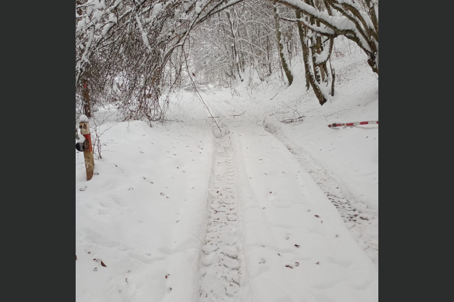 In judet. Drumurile forestiere blocate de iarna