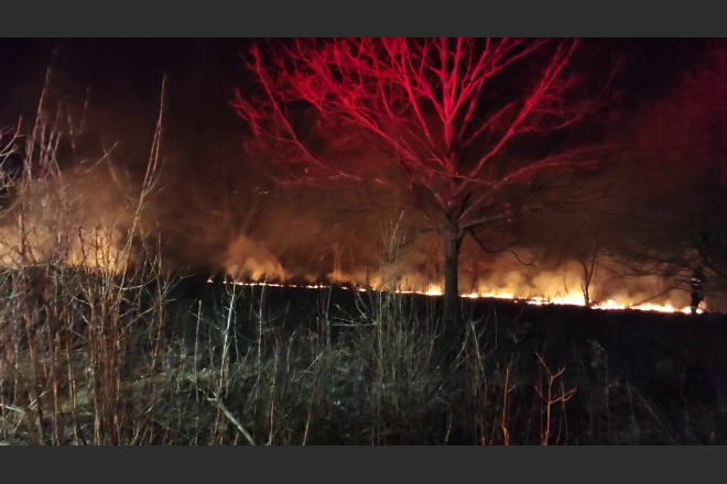 Val de incendii de vegetatie in judet. 16 focare in doar 24 de ore, zeci de hectare mistuite de flacari