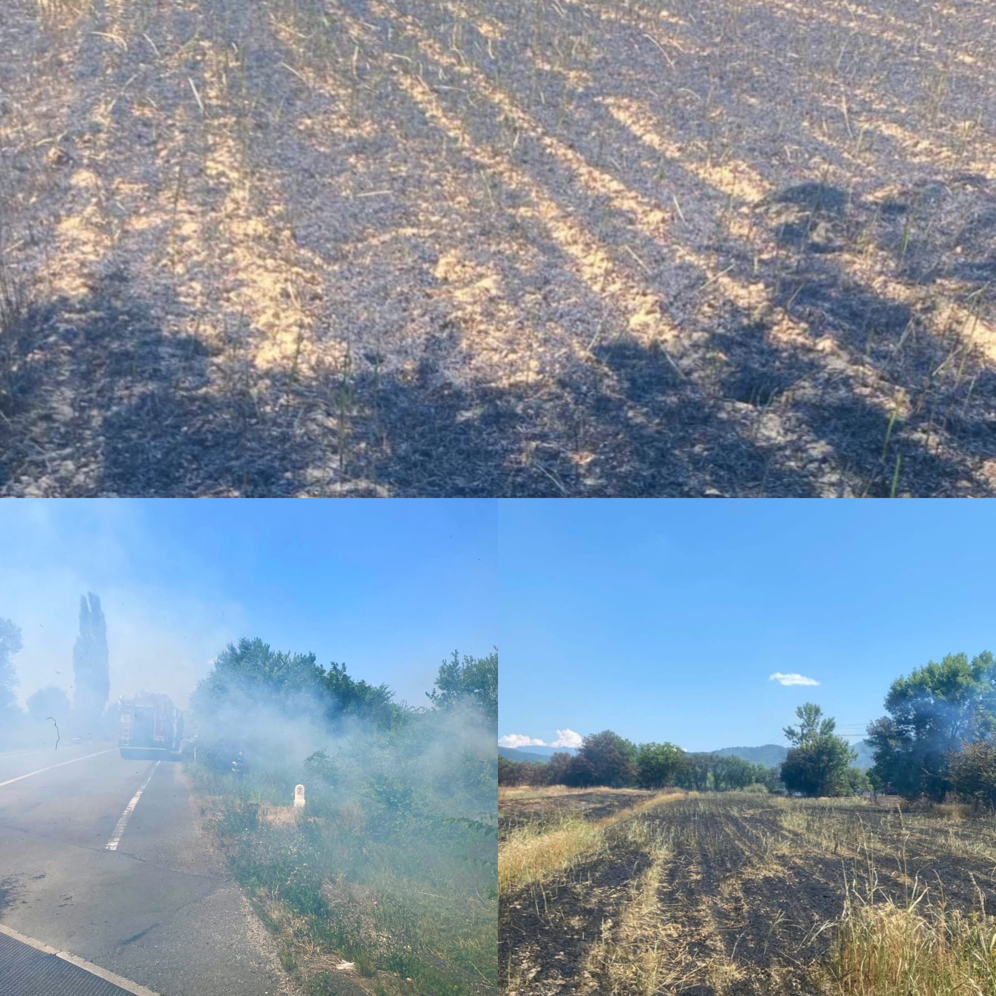 Patru incendii de vegetatie uscata intr-o singura zi in judetul Hunedoara
