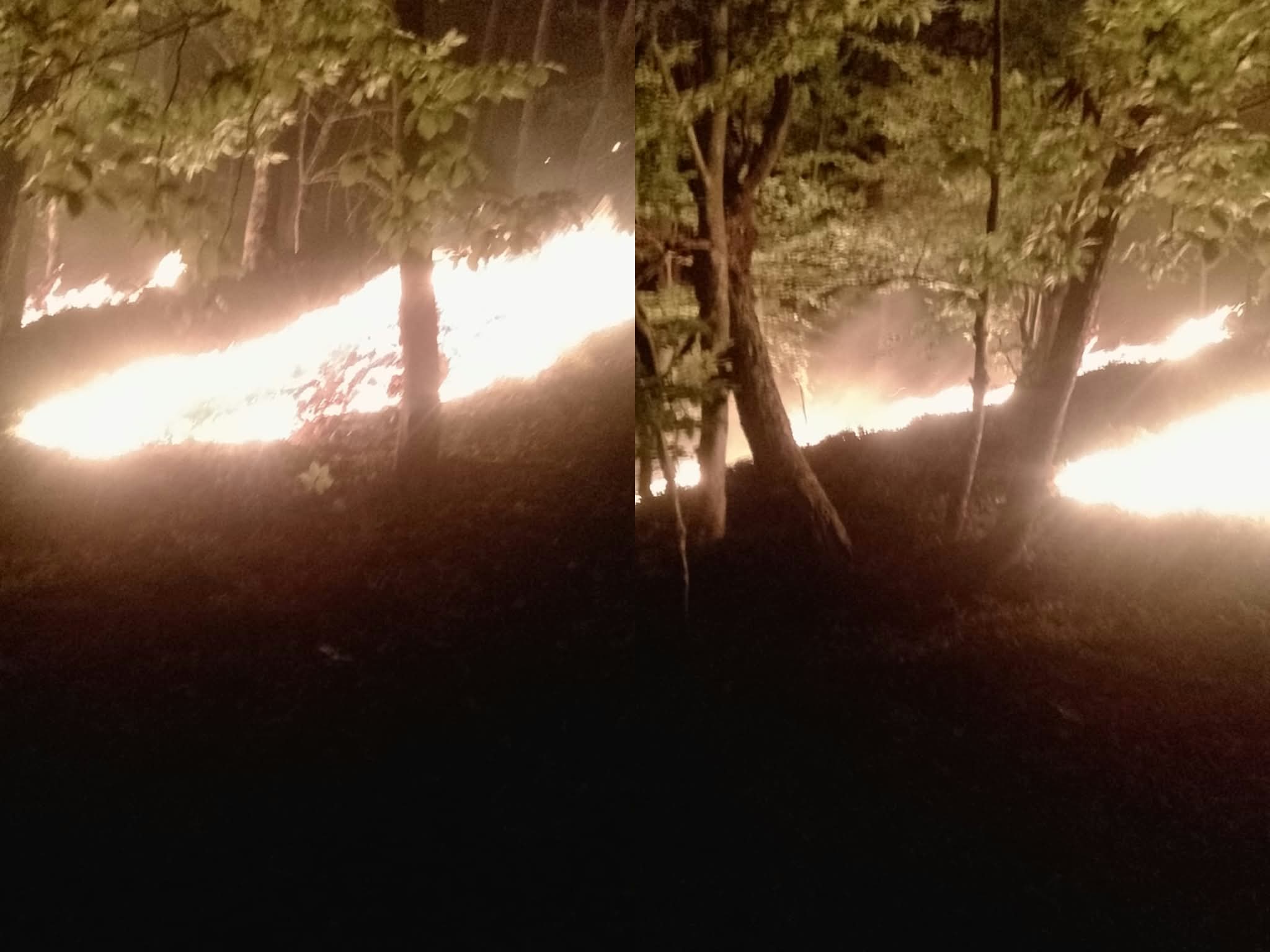 Incendiu de padure in Valea Arsului. Primaria Criscior face apel la voluntari