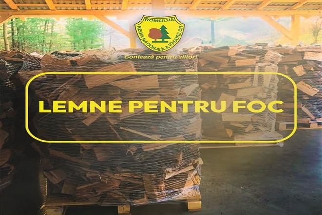 La preturi ca anul trecut. Romsilva vinde lemn de foc