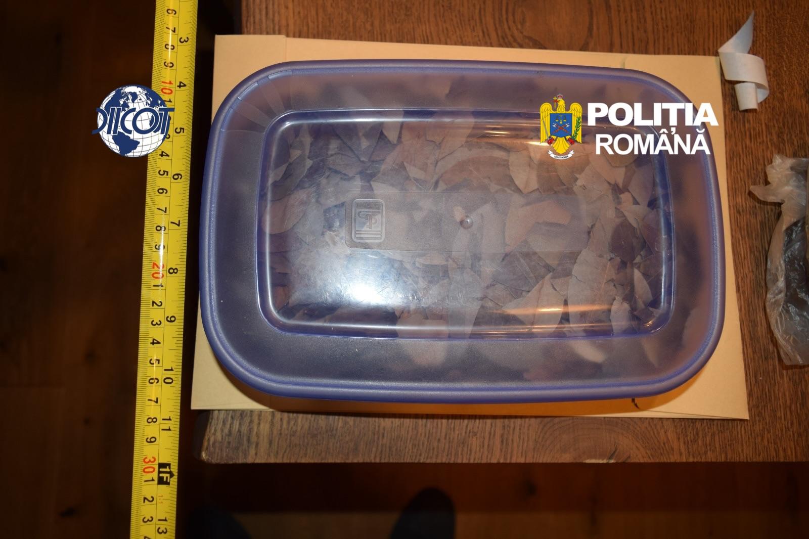 Samanism, ritualuri si droguri de mare risc, la o fundatie din Bosorod